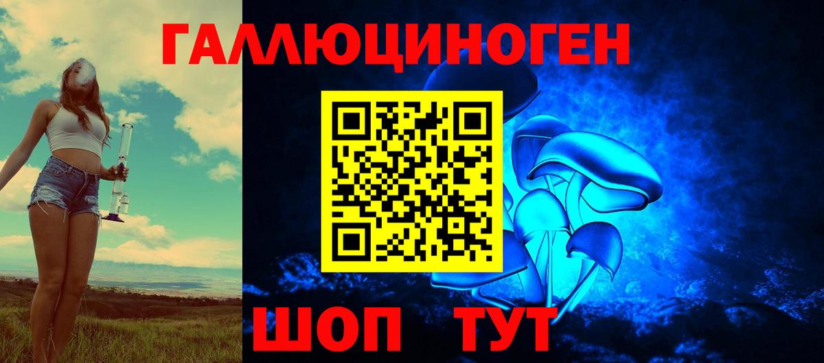 Псков  Галлюциногенные грибы прущие грибы  Вход с VPN  Галлюциногенные грибы ЛСД 