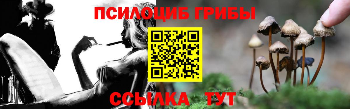 Галлюциногенные грибы прущие грибы Псков